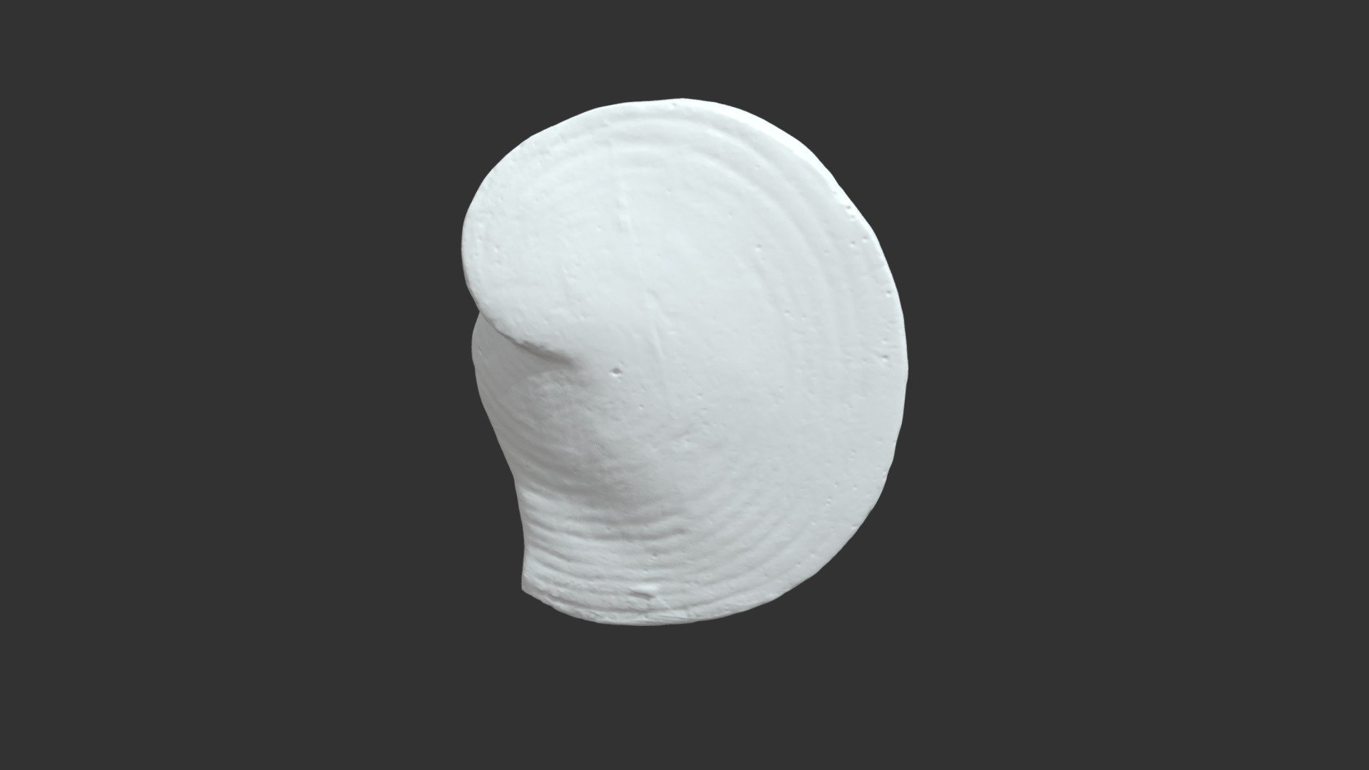 Orbiculina numismalis (206462) 3D model by Photo3D (vect3d) [210f05a