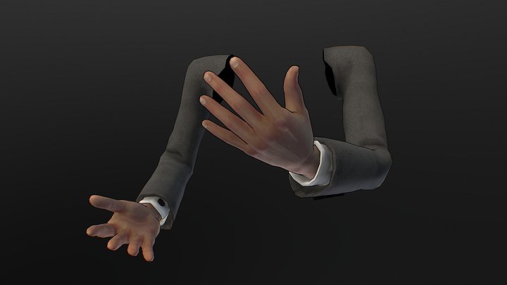 Free FPS-Hand's 3D Model