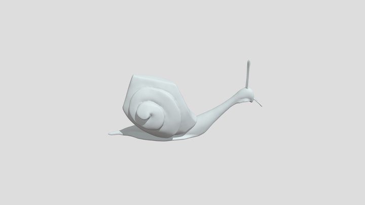 Snail (Version 1) 3D Model