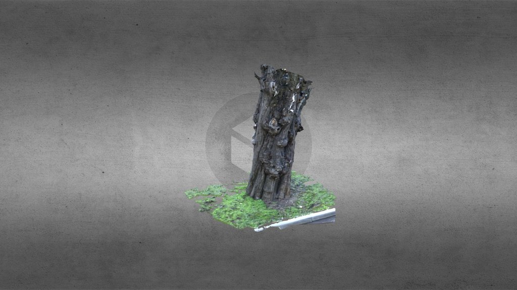Tree PhotoScan