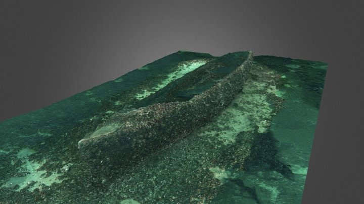Wreck at Saint Prex 3D Model
