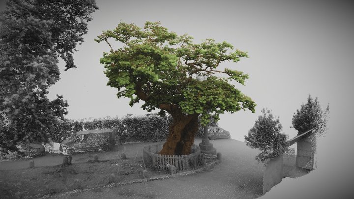 Meavy Oak, Dartmoor 3D Model