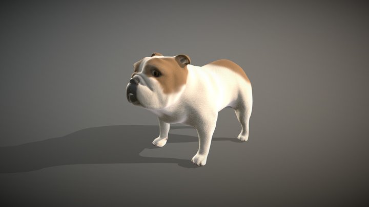 GD53_Ion Rodriguez_MOD2 3D Model