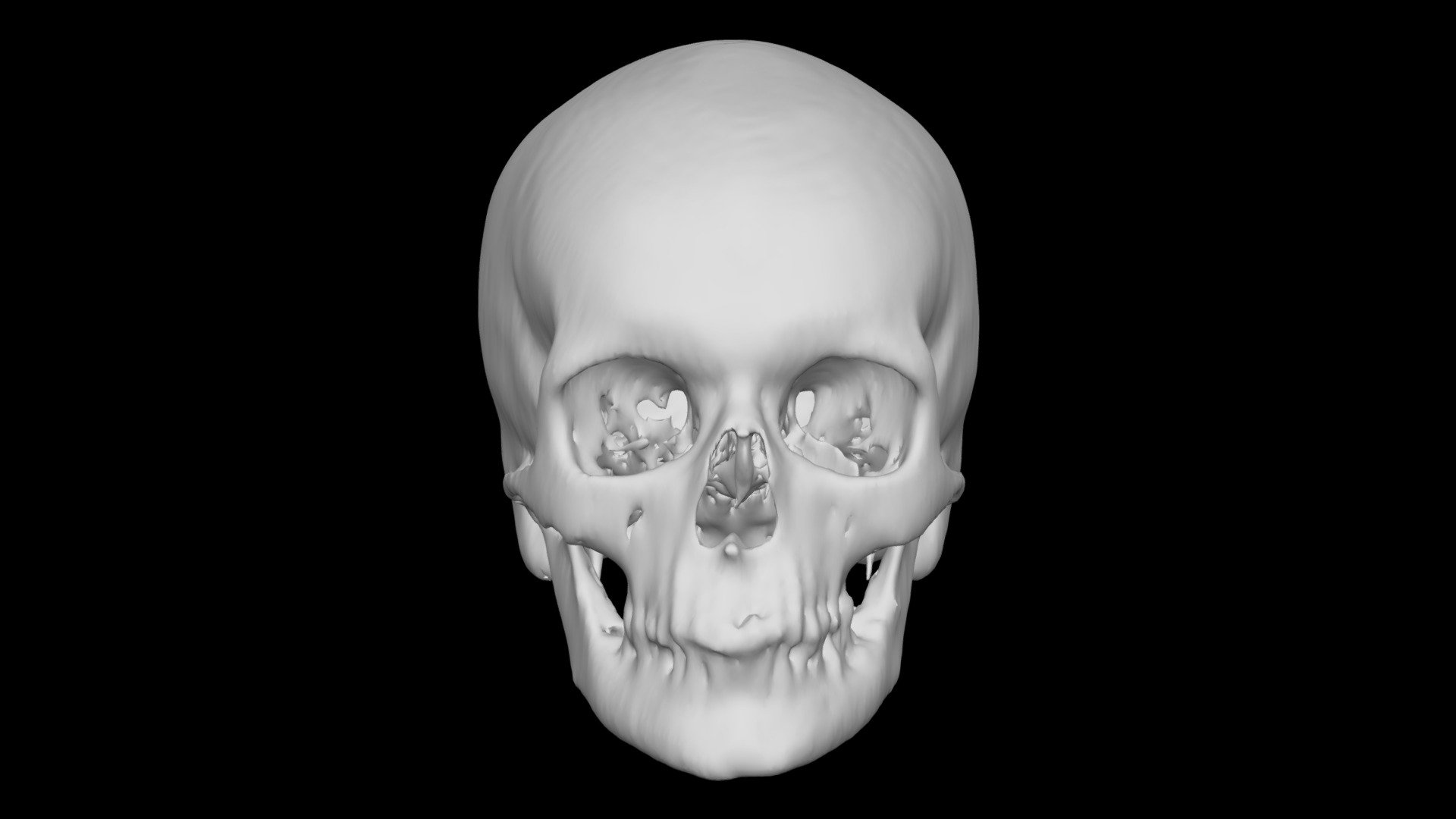 Skull Female no age