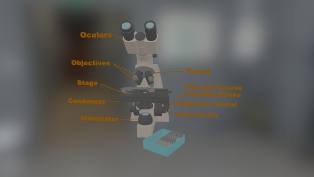 Microscope 3D Model