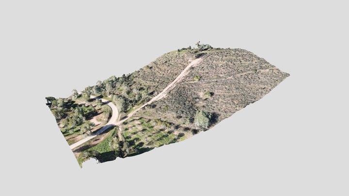 Hillside in Portugal 3D Model