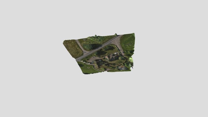 Browiede 3D Model