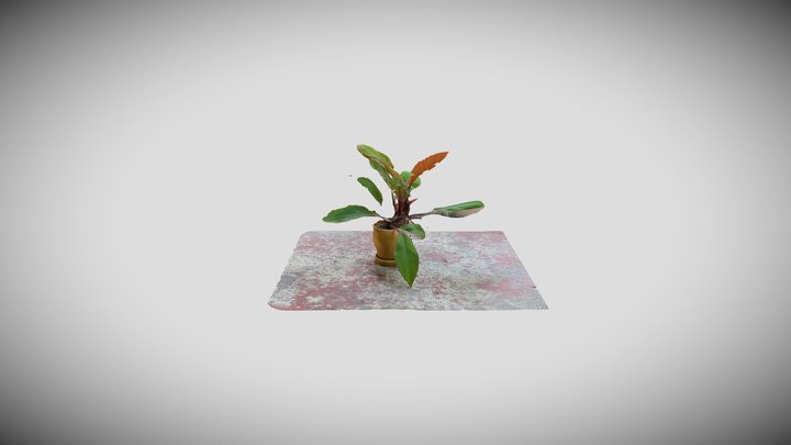 Nature XR Plant Test 3D Model