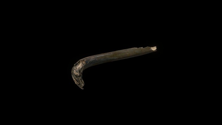 Tusk1 LP 3D Model