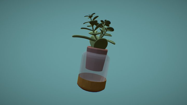 Succulent that lives on my desk 3D Model