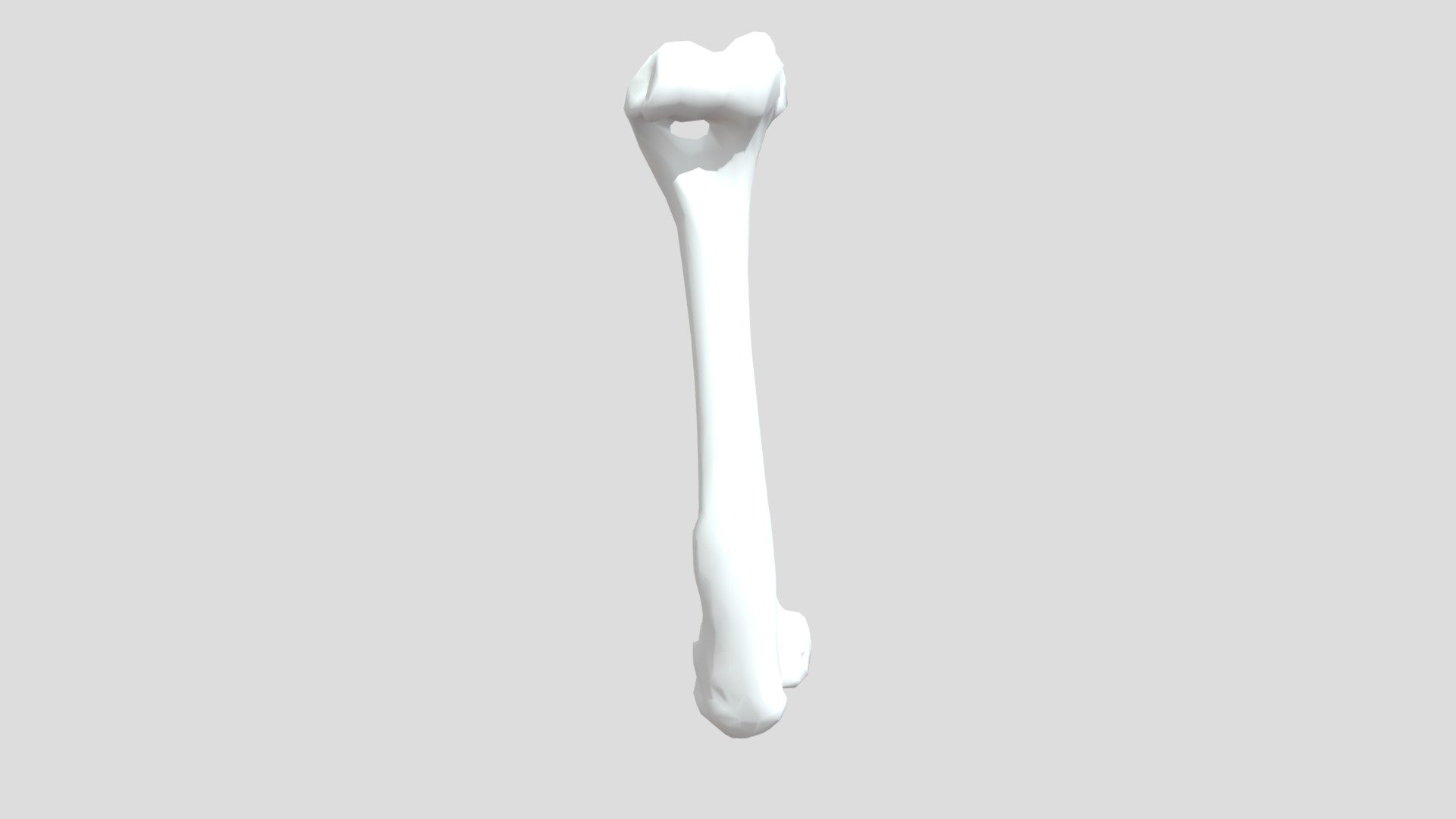 skeleton Leg 01