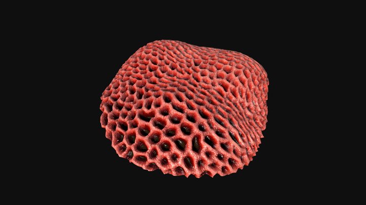 Low poly red coral – Free 3D Model STL