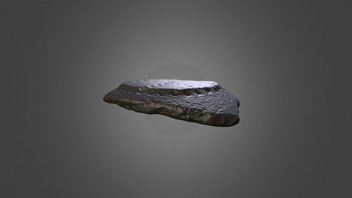 Capeduncola 171 3D Model