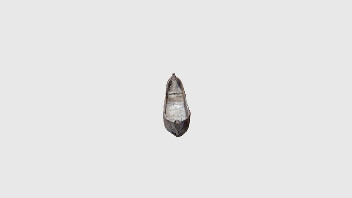 Angus Lookaround Menominee Dugout Canoe 3D Model