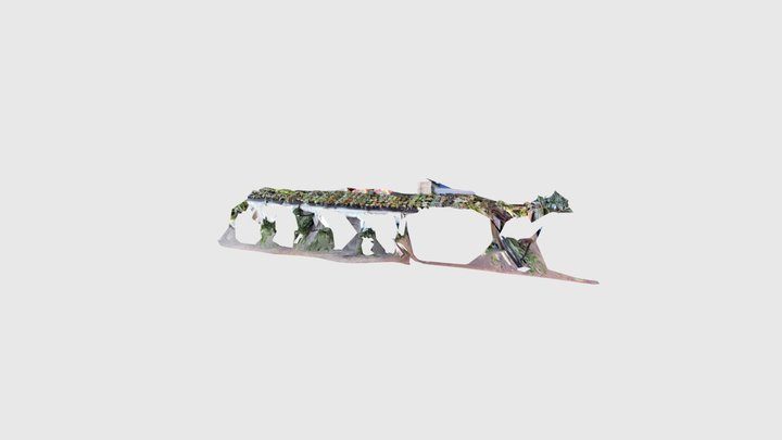 flowers and plants 3D Model