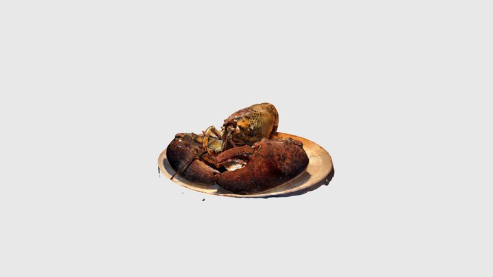 Lobster 3D Model