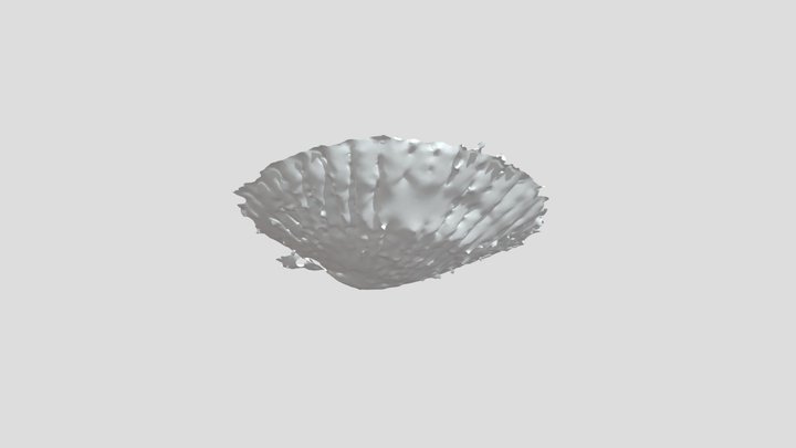 Bivalvo Chlamys 3D Model