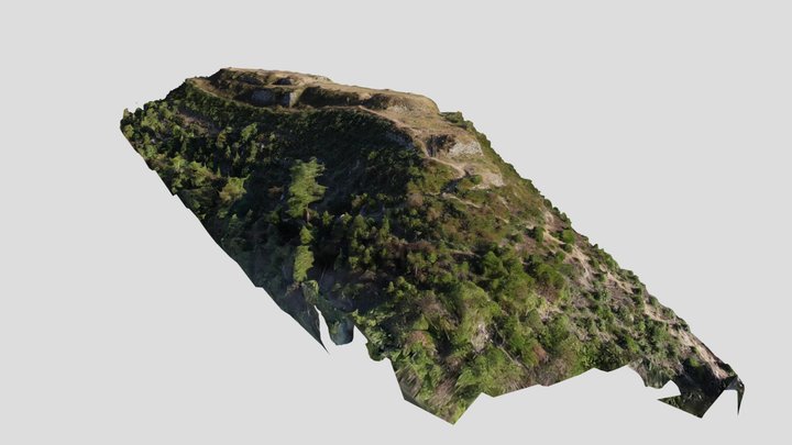 黒井城跡 3D Model