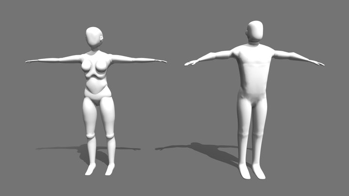 Free Human Base Meshes for Sculpting – Kostenloses 3D-Modell STL
