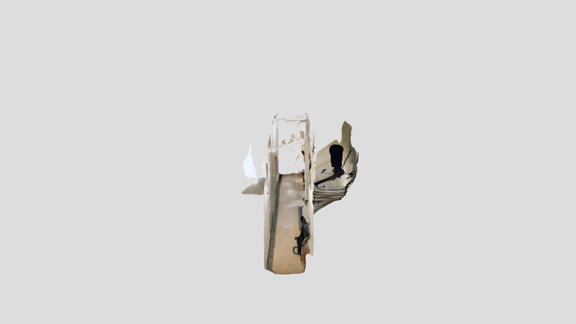 Polycam capture