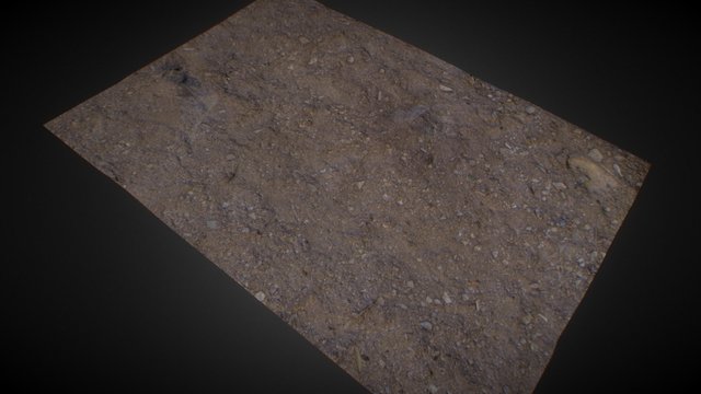 Cabrillo Beach Terrain 3D Model