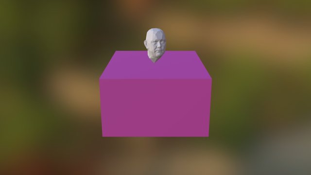 Owen HeadScan 3D Model