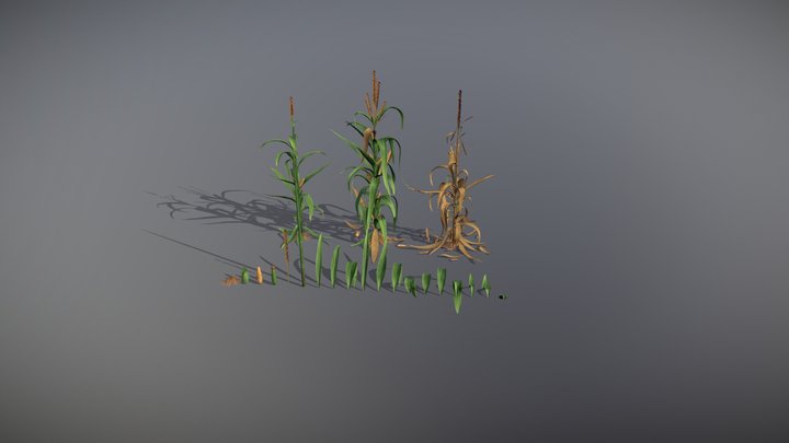 Modular Corn 3D Model