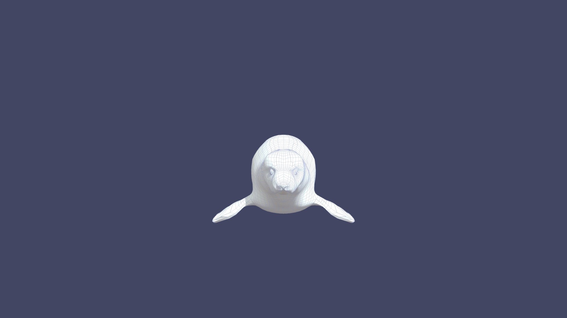 Elephant Seal Model