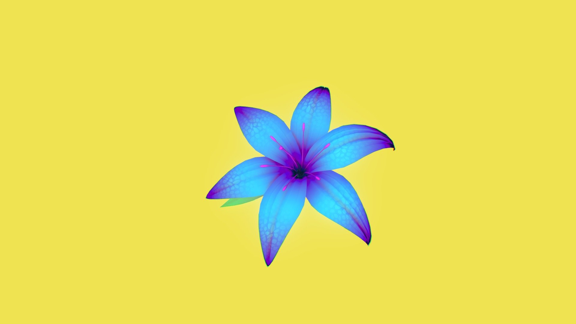 Lily Uvw