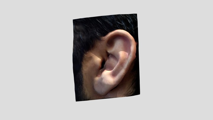 3D Human Ear 3D Model