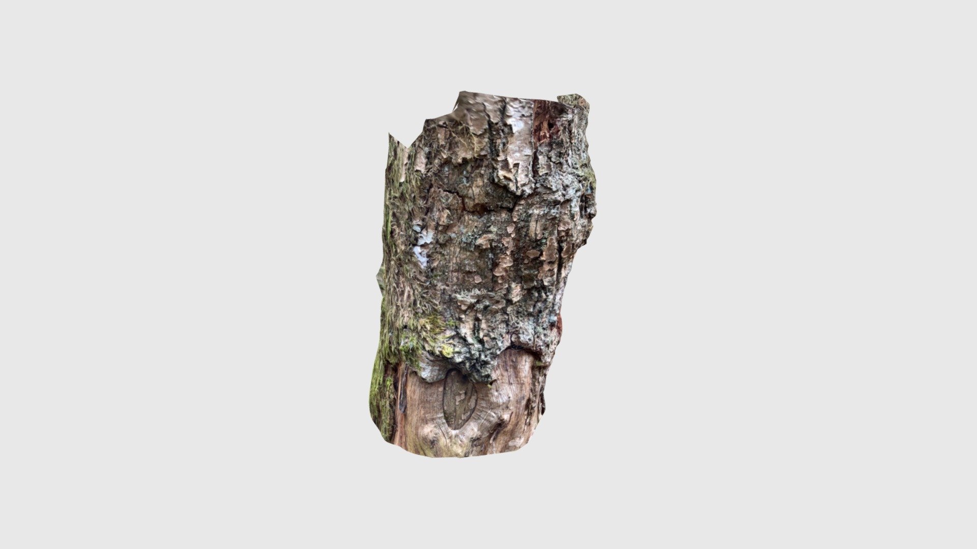 Oak2203220857