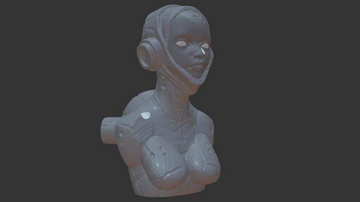 003 3D Model