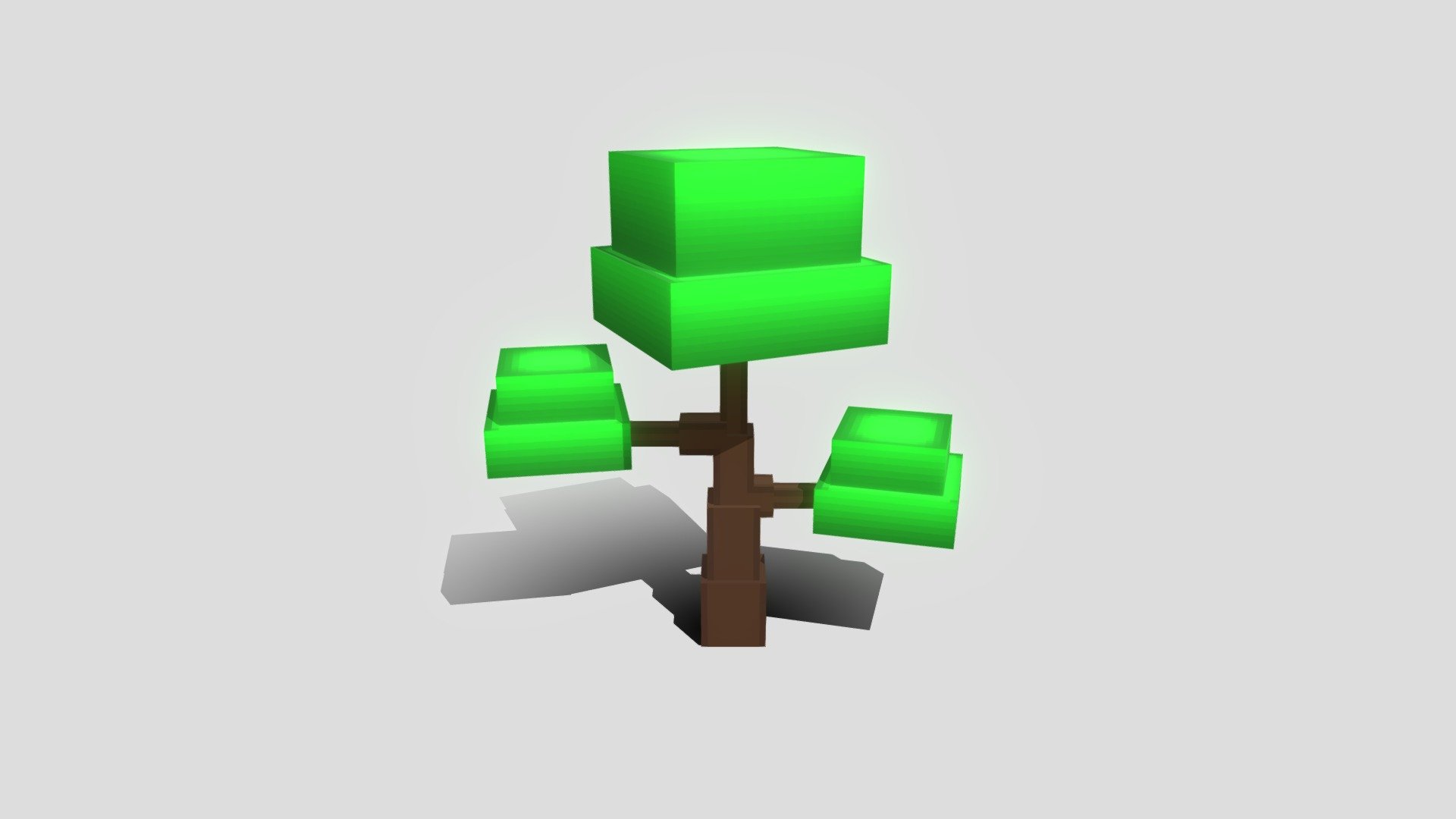 Oak tree