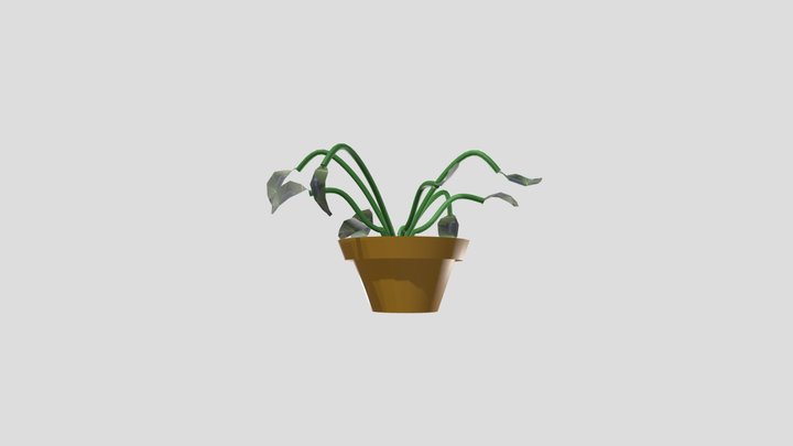 wk8_plant_carlton_holcomb 3D Model