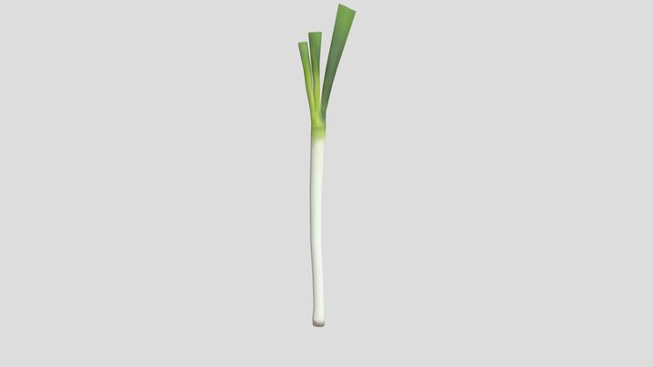 ネギ 3D Model