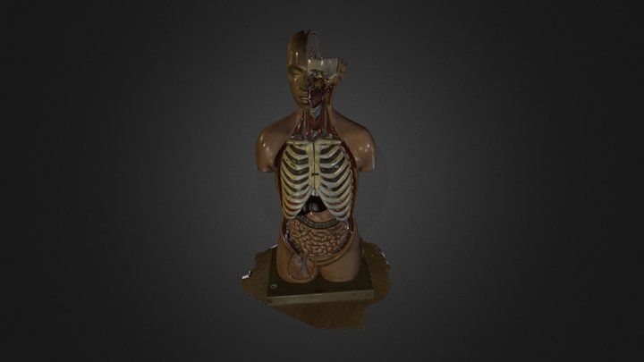 low res model.zip 3D Model