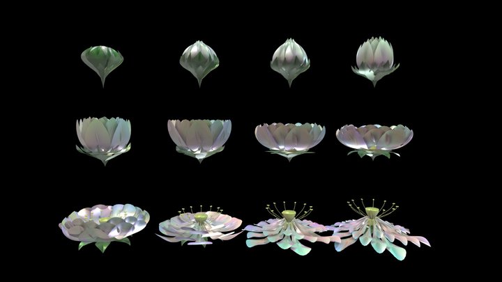 Digital_Flower_b_by xyzuvwopq 3D Model