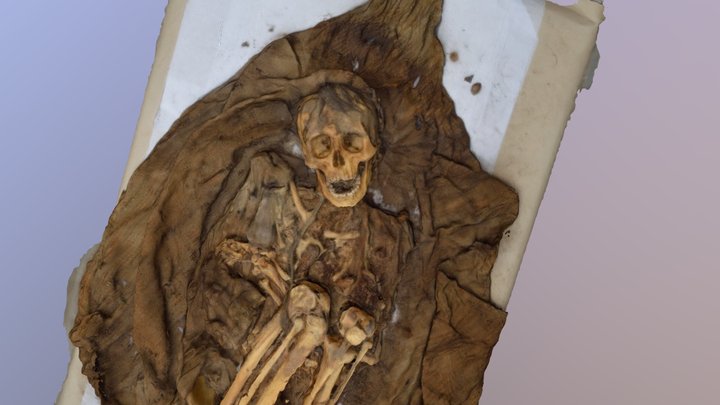 Panquilma - Contexto Funerario 3D Model