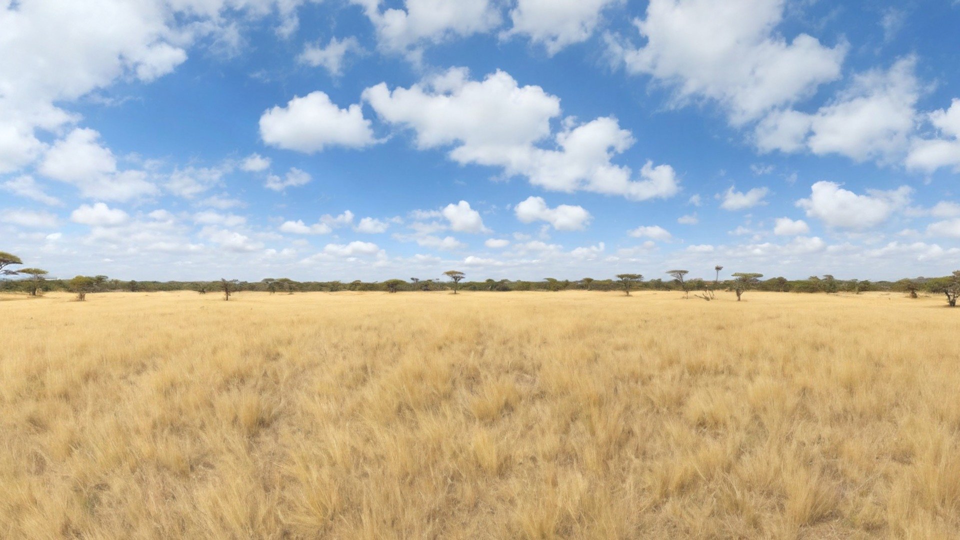 Hdri savanna panorama e buy royalty free 3d model by ionut81 2172cda