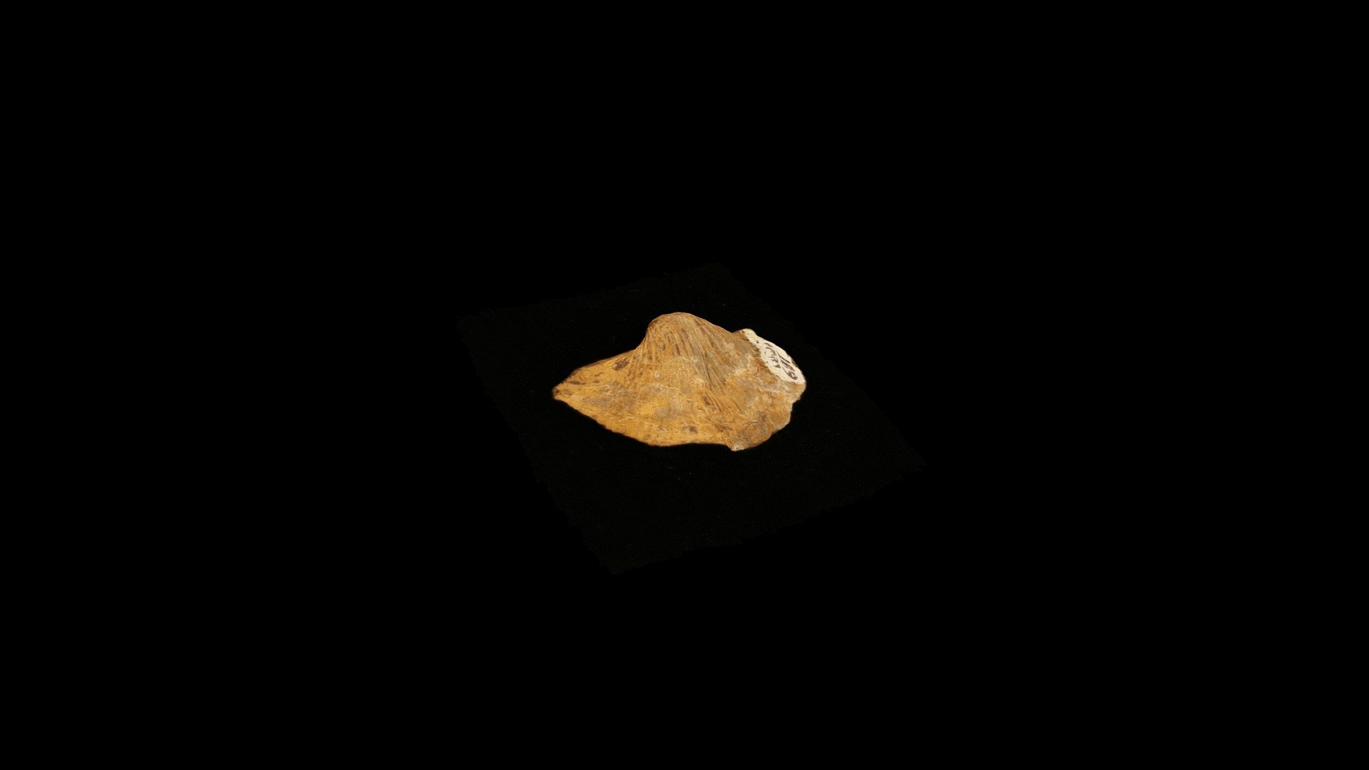 Geol212_687