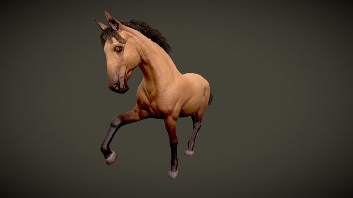 Horse 3D Model