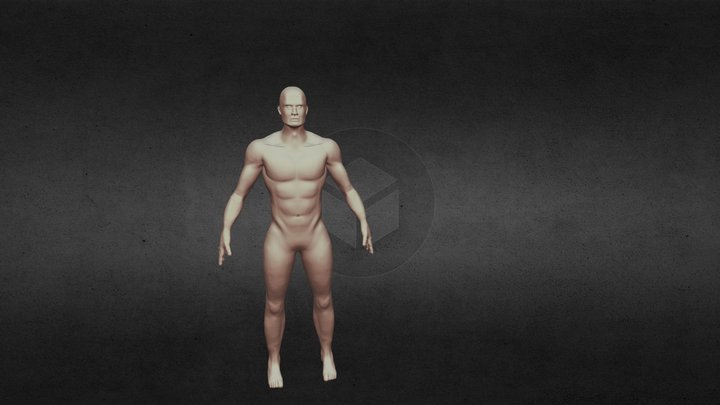 Body Male 3D Model