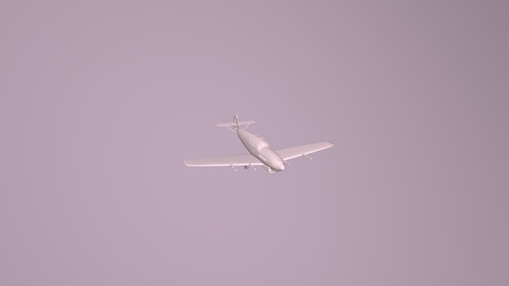 Plane Model 3D Model