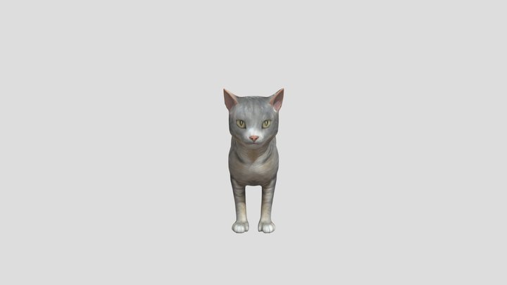 Cat 3D Model