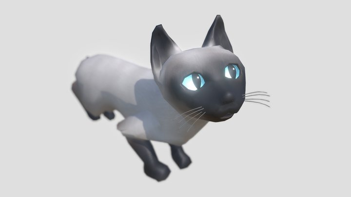 Siames Cat - project 3D Model