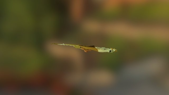 Blended 3D Model
