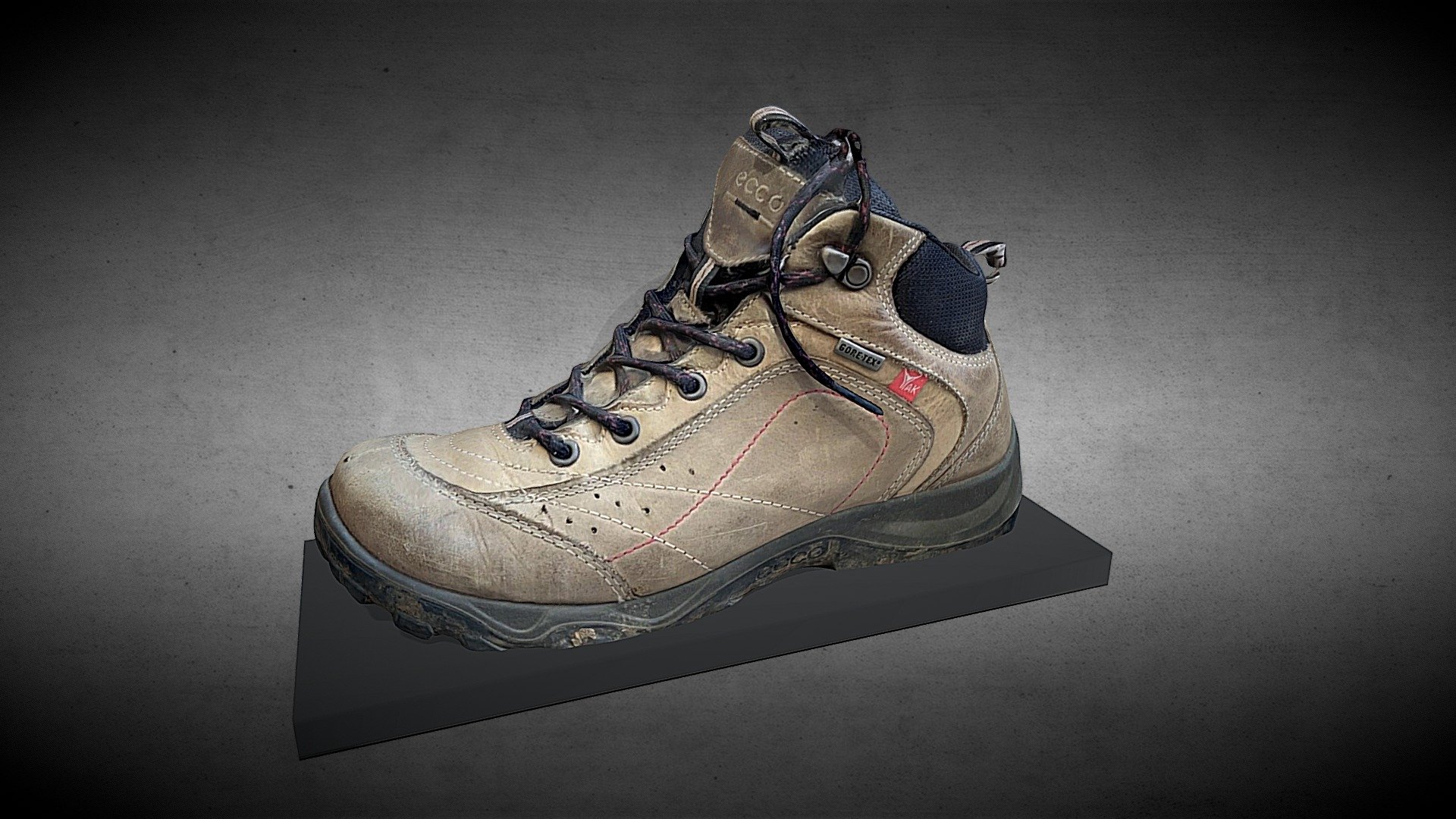 Shoe _ TRNIO
