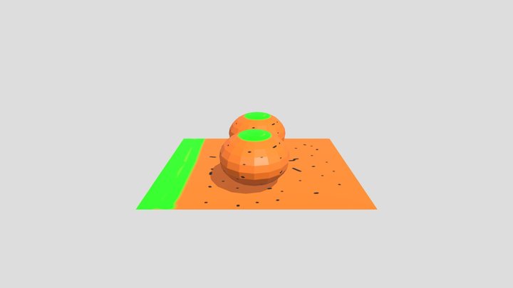 Oranges 3D Model