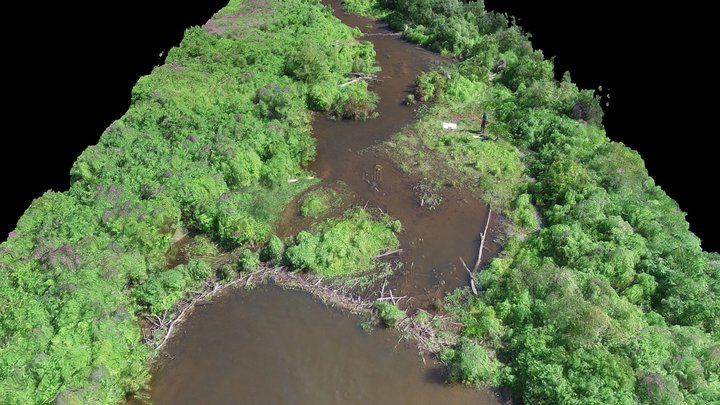 Bellamy Beaver Dams 3D Model