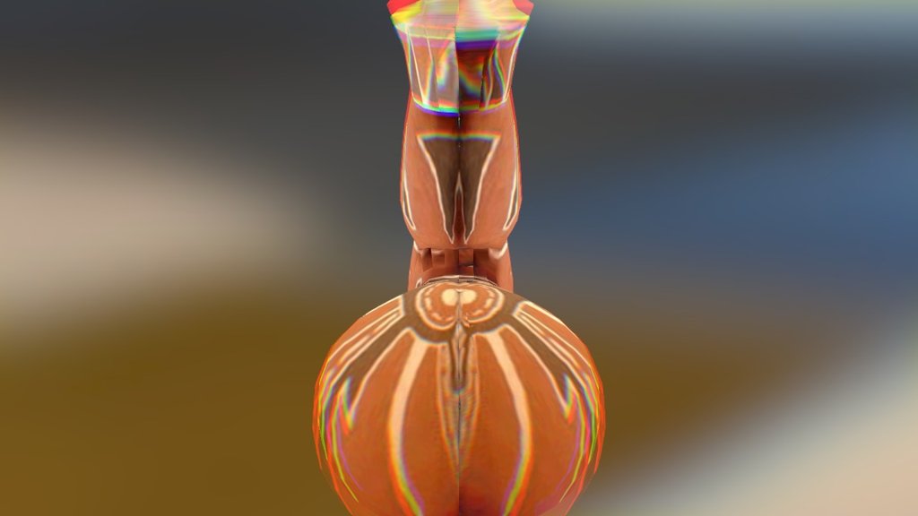 Cerámica Condorhuasi